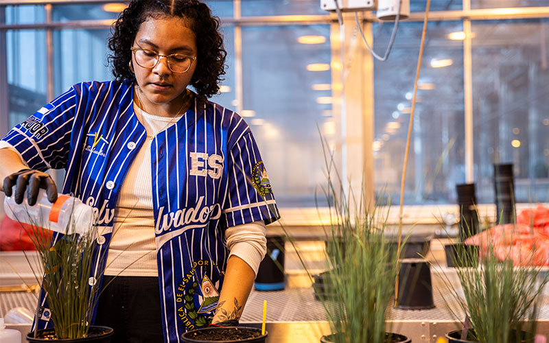 Woman in a greenhouse filling a container with water