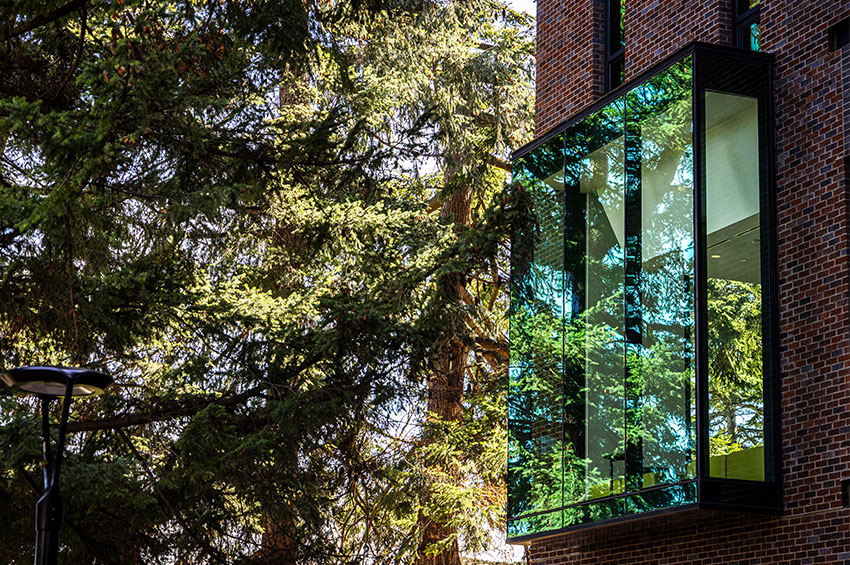 Modern building with glass window reflecting green trees.