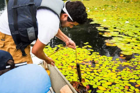Researcher on Lake Killarney