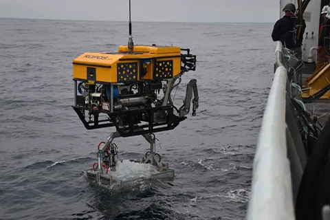 A remotely operated vehicle being submerged via a cable into the ocean