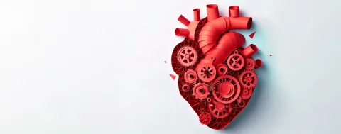 A human heart made of red mechanical gears and tubes against a pale blue background.