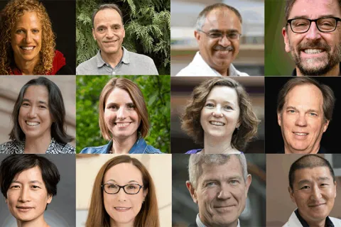 A photo collage featuring headshots of 12 UW faculty members.