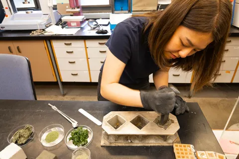 A researcher presses cement into one of three metal molds