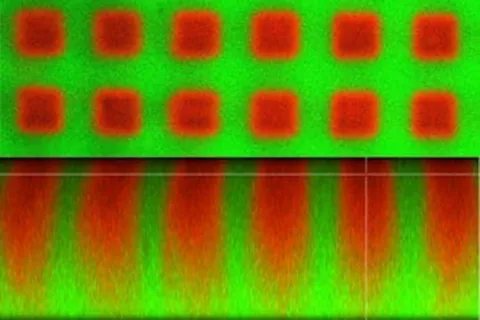 Magnified image of green and red tissues
