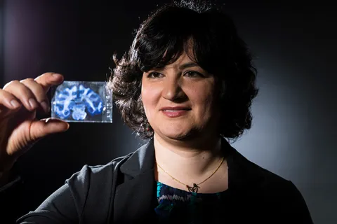 Yazdan examines a 50-micron-thick brain section