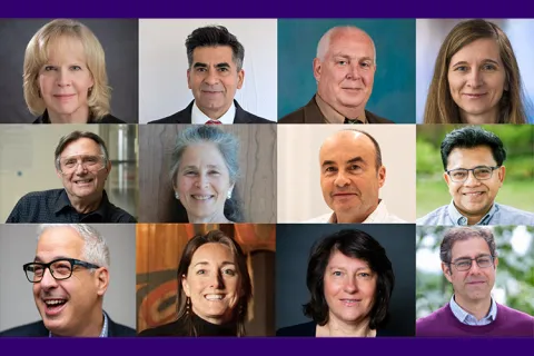 Eleven UW professors