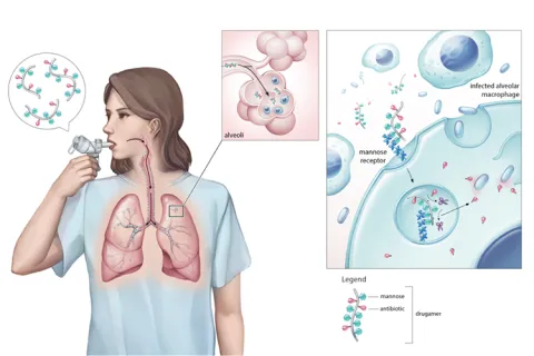 Inhaler diagram