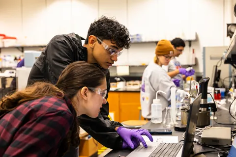 Students in a lab