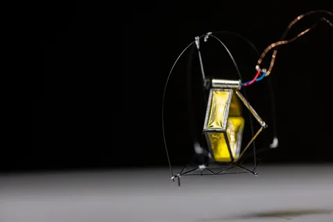 A tiny hopping robot