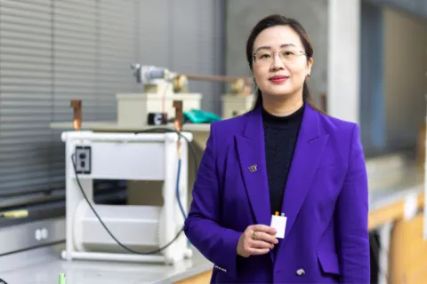 Growing the energy storage industry