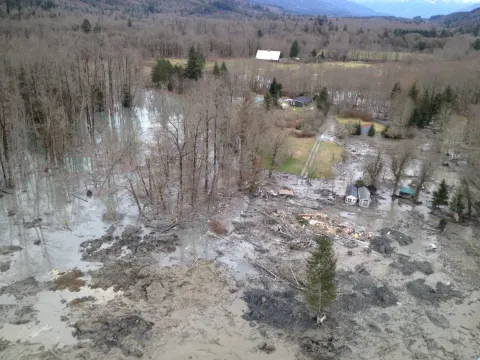 aerial view of mud and trees with building remains