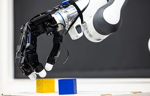 Robotic grip