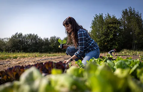 Woman in field