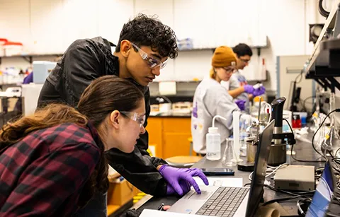 Students in a lab