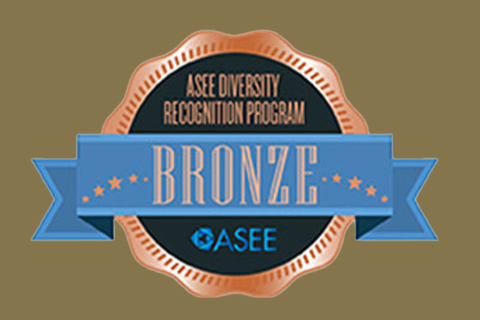 diversity recognition badge