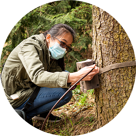 a student conducting research in a forest