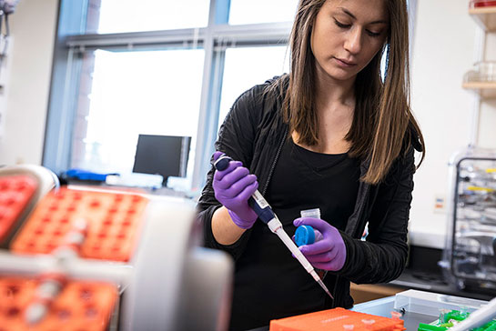 Student wearing gloves and using a dropper in a lab setting