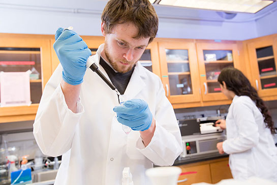 Researchers in a lab