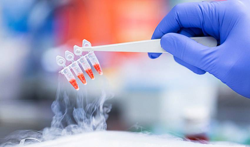 Researchers at the Lutz Lab work to develop an at-home COVID-19 test in 2020 Researchers at the Lutz Lab work to develop an at-home COVID-19 test in 2020