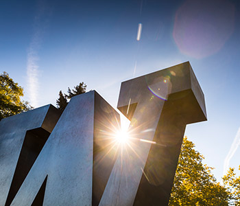 University of Washington W