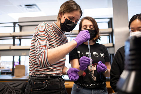 Students in a lab