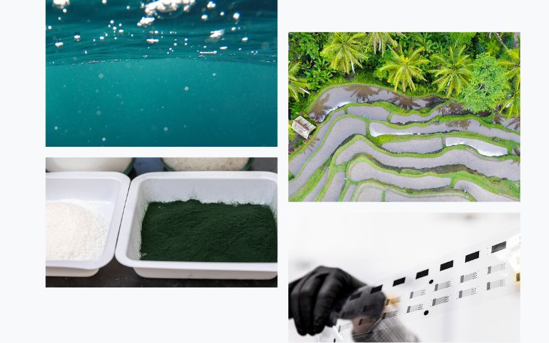 Under the ocean surface; Rice grows in flooded fields called paddies, which generate large amounts of methane; Powdered spirulina cells (green powder in the middle container); The Washington Clean Energy Testbeds houses additive manufacturing tools that use printing techniques to sustainably produce electronic devices, including battery parts and solar cells.