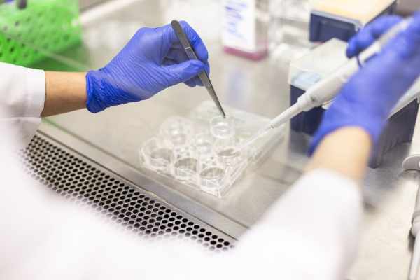 closeup of hands holding a pipette over a plastic container