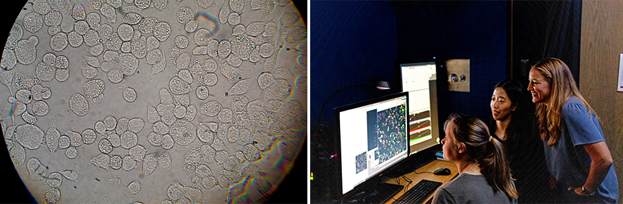 Collage of two images: Image 1: A microscope view of a cell. Image 2: Three women looking at a computer screen