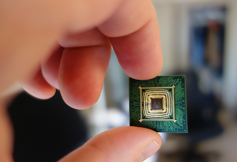 Up-close photo of a hand holding a small microchip