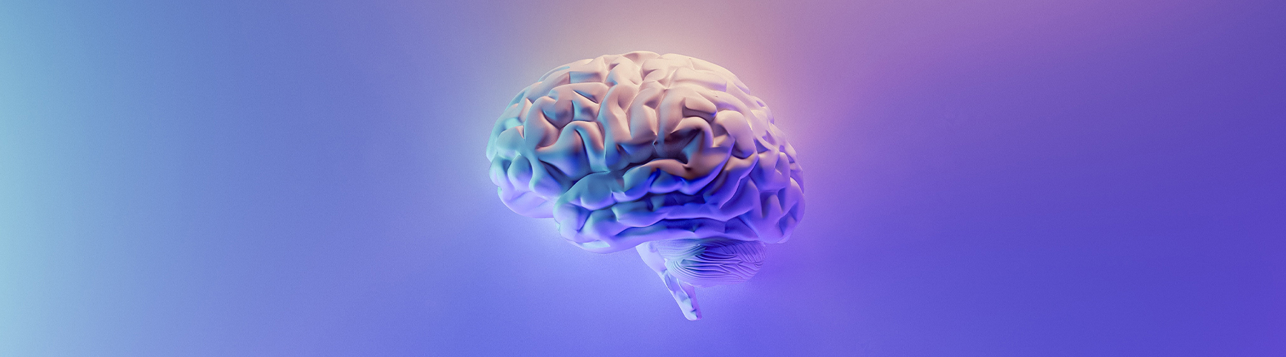 Illustration of a human brain