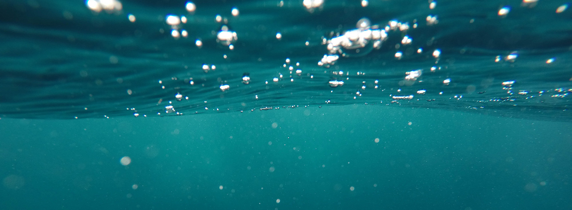 Looking up from under the ocean's surface