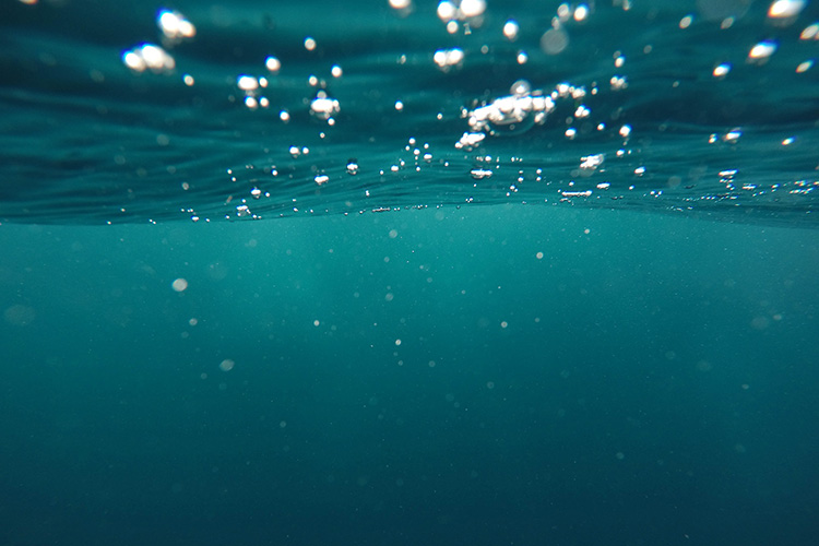 Looking up from under the ocean's surface