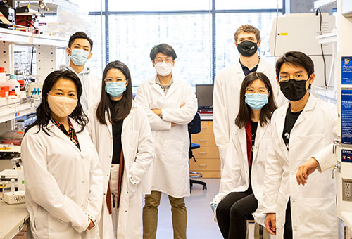 Researchers in Zhang’s Nanoparticle Lab