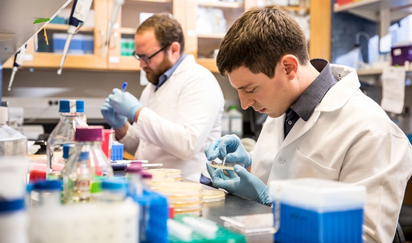 photo of David Younger and Robert Lamm doing research