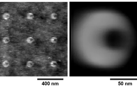 atomic force microscopy image of a surface with nine shapes attached