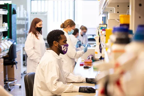 Undergraduate technicians perform common molecular biology tasks at a lab