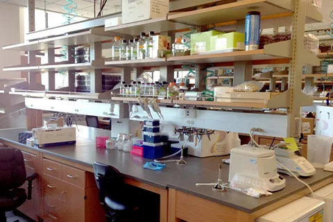 A biochemistry lab bench with pipettes and bottles of liquid. A microcentrifuge and a Bunsen burner sit to the right