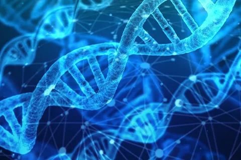 Rendering of DNA strands