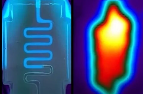 A serpentine hydrogel channel infused with tonic water fluoresces under ultraviolet light (left) and an infrared tomography of a heat-perfused hydrogel shows that heat traces the path of fluid flow and dissipates into bulk hydrogel.