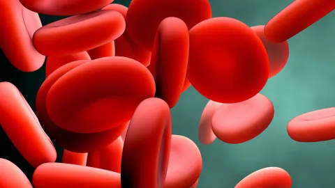 Rendering of red blood cells