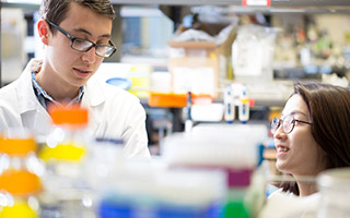 Students working in lab